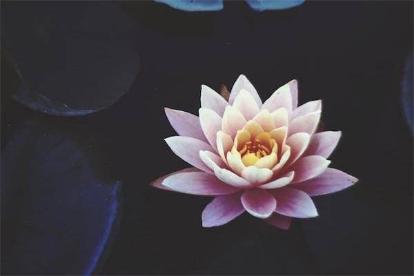 中郵人壽保險(xiǎn)一年交一萬(wàn)