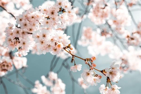 房屋火災(zāi)保險(xiǎn)怎么買(mǎi)？多少錢(qián)一個(gè)月？