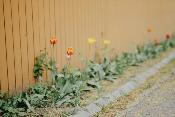 太平洋保險查詢詳細保單怎么查？一般多少錢？