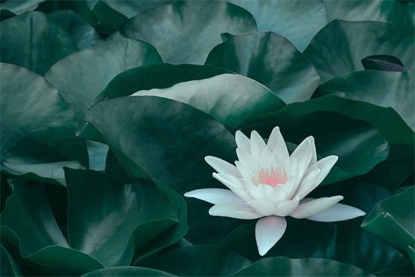 養(yǎng)老保險(xiǎn)交滿15年能領(lǐng)取多少錢(qián)？看完這文章你就知道了