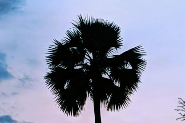 香港安盛保險(xiǎn)怎么樣？旗下產(chǎn)品怎么買？