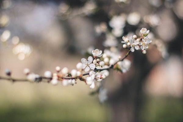 保險(xiǎn)被保人和受益人有什么區(qū)別？可以變更嗎？
