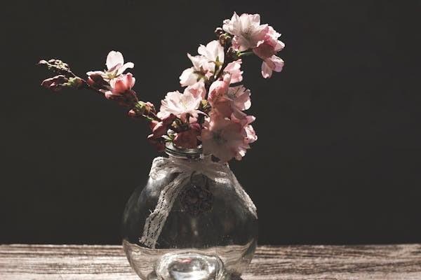 平安保險(xiǎn)查詢個(gè)人保單查詢?cè)趺床?？一年多少錢？