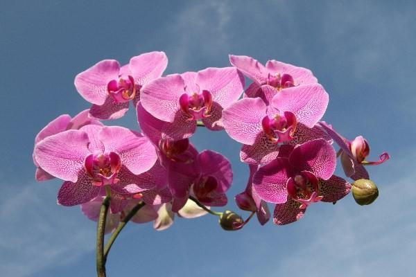 華泰保險公司正規(guī)嗎安全嗎？有哪些險種？