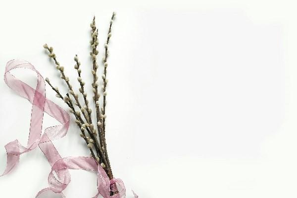 郵政保險(xiǎn)猶豫期退保,扣費(fèi)嗎？退保的具體流程是怎樣的？