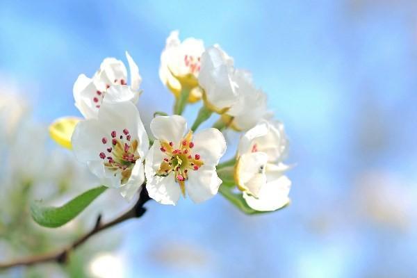 終身重疾險(xiǎn)退保的話能拿本金嗎？退保的流程是什么？
