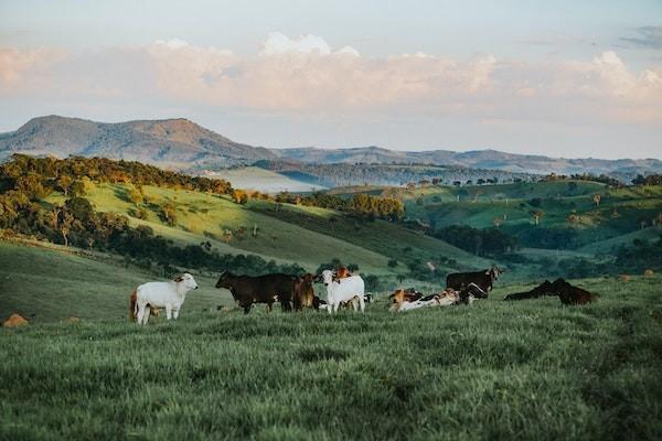 友邦保險住院醫(yī)療保險有哪些？有哪些優(yōu)勢？