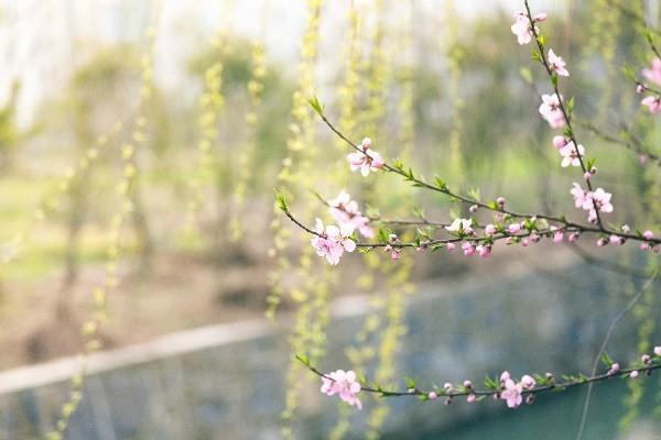保險(xiǎn)到期退保需要什么手續(xù)？保險(xiǎn)到期退保注意事項(xiàng)？