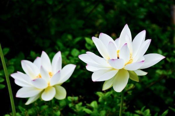 退休職工喪葬費與撫恤金標(biāo)準(zhǔn)解析：不同地區(qū)計算方法與金額差異