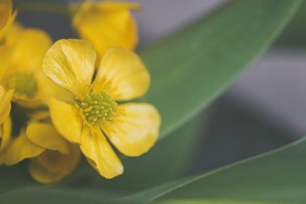 養(yǎng)老保險金補(bǔ)繳新規(guī)？斷交有什么影響？