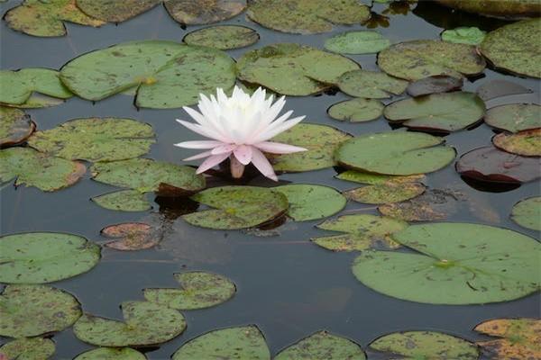 華夏保險(xiǎn)改成瑞眾保險(xiǎn)安全嗎