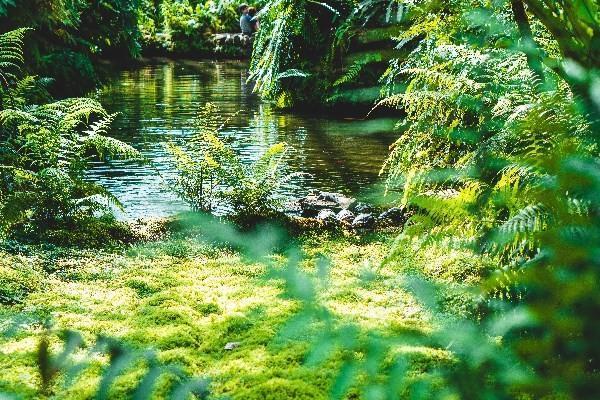 友邦醫(yī)療險住院報銷比例是多少？報銷流程有哪些？