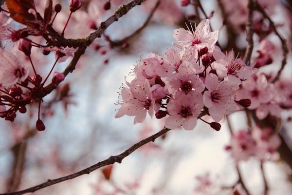 友邦年金險(xiǎn)的優(yōu)點(diǎn)和缺點(diǎn)？值得買嗎？