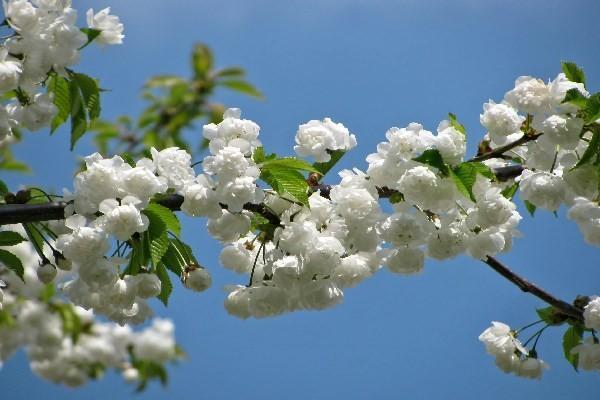 友邦百萬醫(yī)療保險一年要交多少保費？優(yōu)勢有哪些？