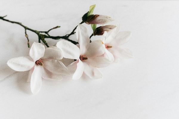e養(yǎng)添年養(yǎng)老年金險(xiǎn)劃算嗎？投保規(guī)則有哪些？