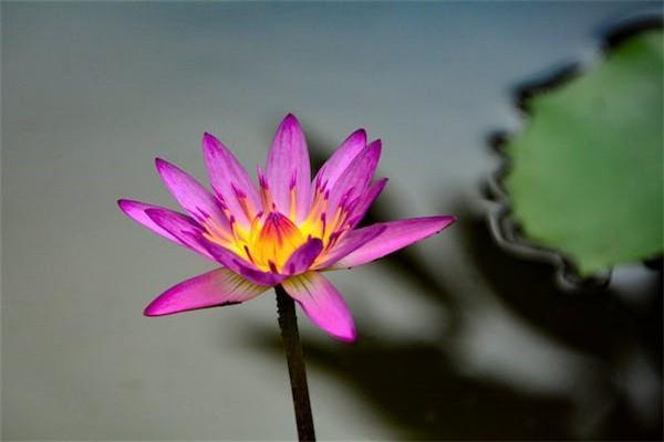 一年存一萬存五萬的保險可靠嗎？從兩個方面來看