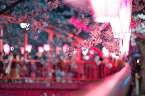 太平洋醫(yī)享無憂購買有哪些？保障內(nèi)容有哪些？