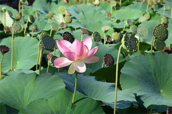 拇指斷了保險(xiǎn)可以賠多少錢？理賠需要注意什么？