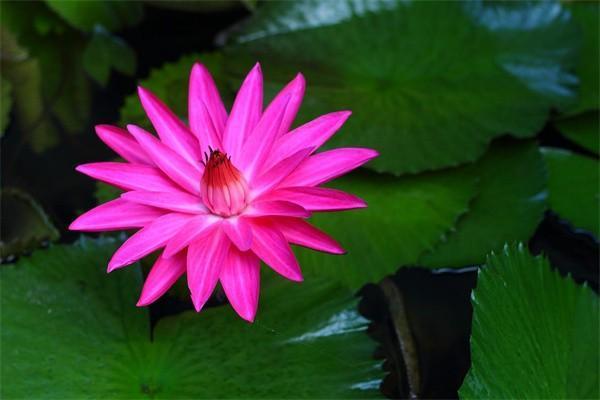 安全的短期理財(cái)方式有哪些？六種安全短期理財(cái)方式詳解
