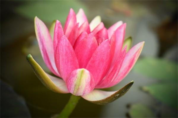 境外出國保險哪些值得買？推薦兩款優(yōu)質(zhì)保險