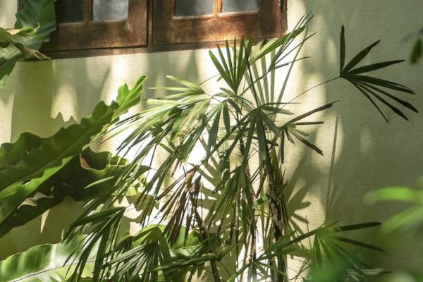 在猶豫期內(nèi)退保錢多長時(shí)間可以到賬