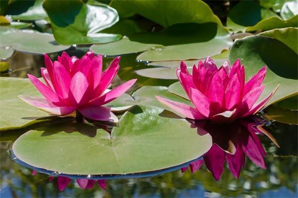 養(yǎng)老保險交了幾年了怎么查詢？查詢不到為什么?。?/>
                                            </div>
                                        </a>
                                        <div   id=