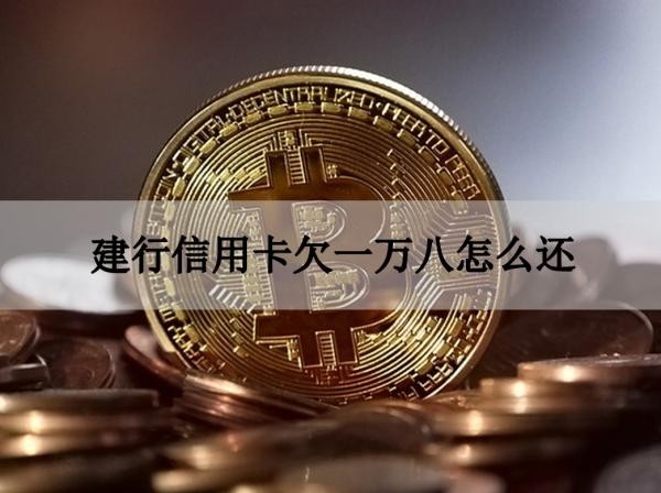 建行信用卡欠一萬八