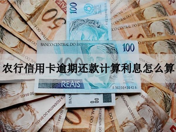 農(nóng)行信用卡逾期還款計(jì)算