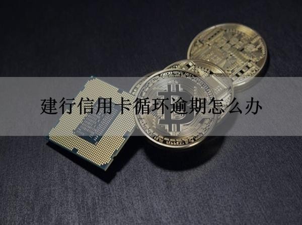 建行信用卡循環(huán)逾期怎么辦？可以這樣做