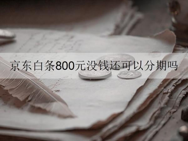 京東白條800元沒(méi)錢(qián)還