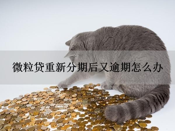 微粒貸重新分期后又逾期怎么辦？有人知道嗎