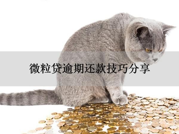 微粒貸逾期還款技巧分享！方法大全