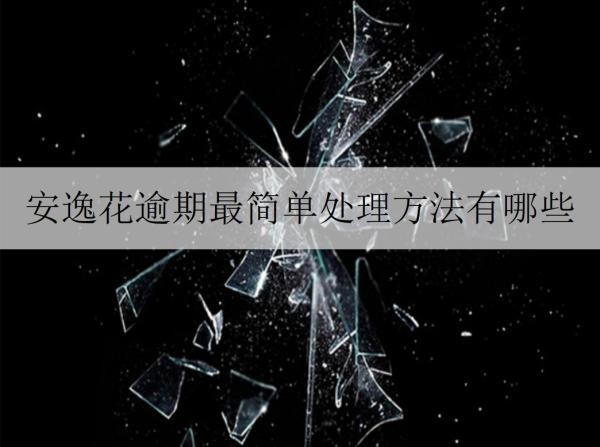 安逸花逾期最簡(jiǎn)單處理方法有哪些？逾期會(huì)怎樣嗎？