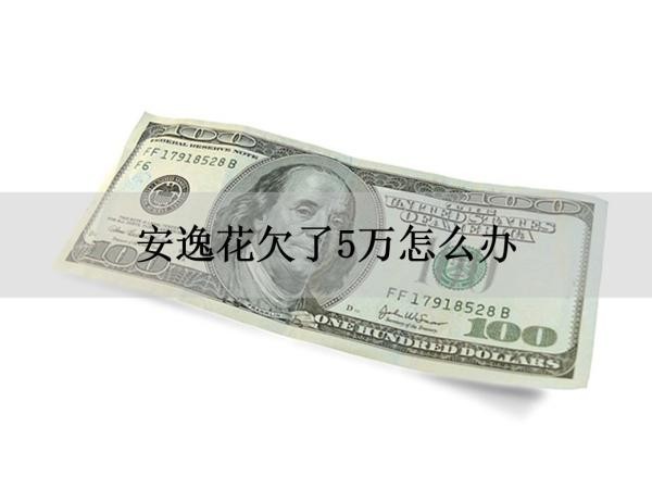 安逸花欠了5萬怎么辦