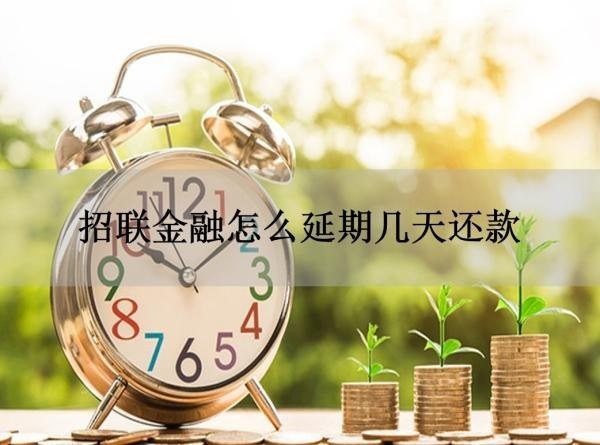 招聯(lián)金融怎么延期幾天還款？三種方式