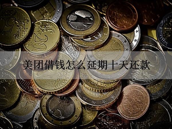 美團借錢怎么延期十天還款？詳細步驟