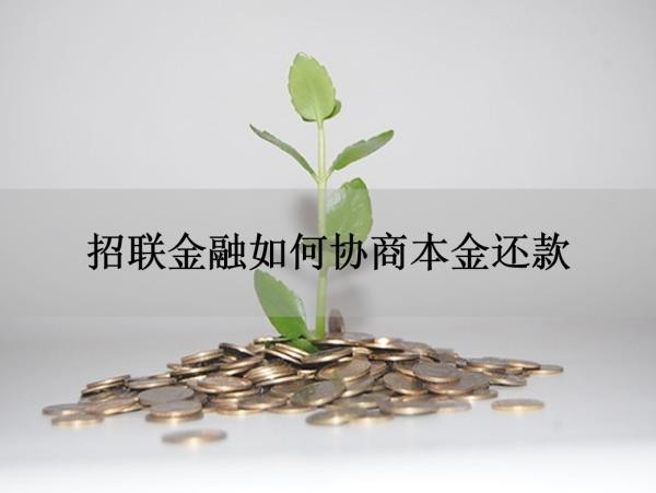 招聯(lián)金融如何協(xié)商本金還款？詳細攻略