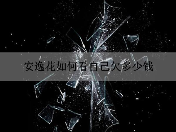 安逸花如何看自己欠多少錢？看完就清楚！