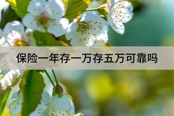 保險(xiǎn)一年存一萬(wàn)存五萬(wàn)可靠嗎？值得買嗎？
