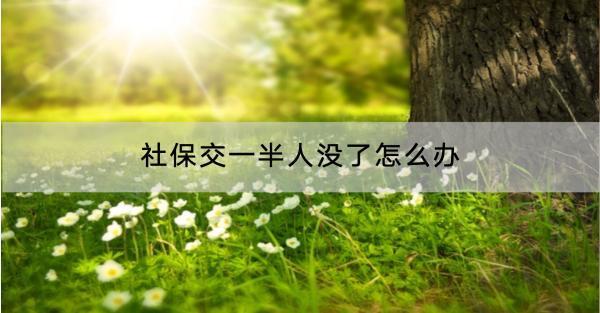 社保交一半人沒了怎么辦