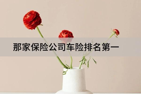 那家保險公司車險排名第一？從哪個渠道買便宜？