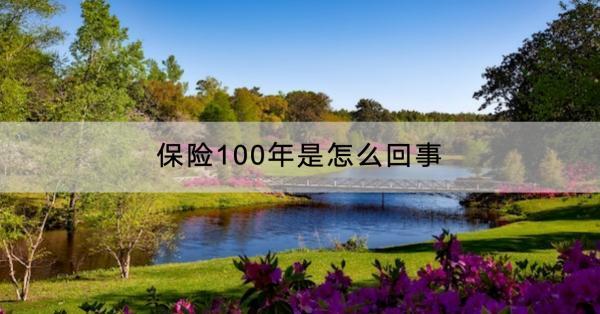 保險100年是怎么回事？購買順序是什么？