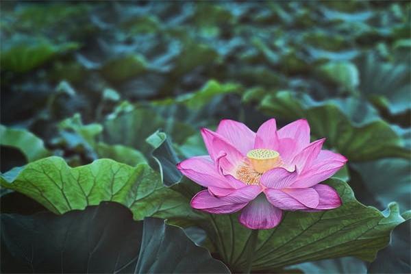 企業(yè)退休人員年滿70歲能領(lǐng)取多少補(bǔ)貼？從兩個(gè)方面來(lái)看！