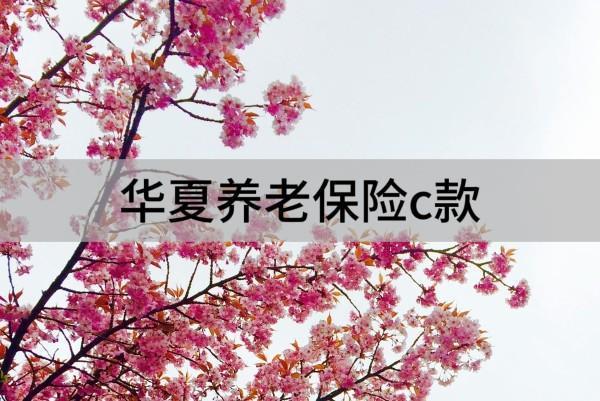 華夏養(yǎng)老保險c款最建議買嗎？有什么優(yōu)缺點(diǎn)？