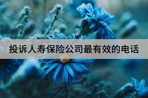 投訴人壽保險(xiǎn)公司最有效的電話