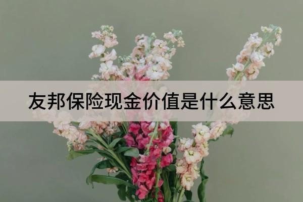 友邦保險現(xiàn)金價值是什么意思？怎么看？