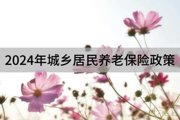 2024年城鄉(xiāng)居民養(yǎng)老保險政策簡介，要繳納多久時間？