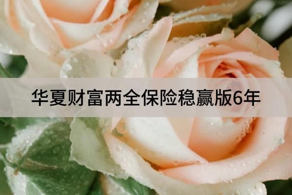 華夏財富兩全保險穩(wěn)贏版6年有哪些投保規(guī)定？提供有哪些保障？