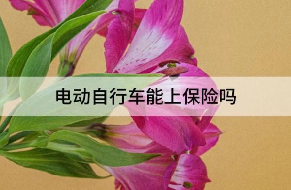 電動自行車能上保險嗎？多少錢？