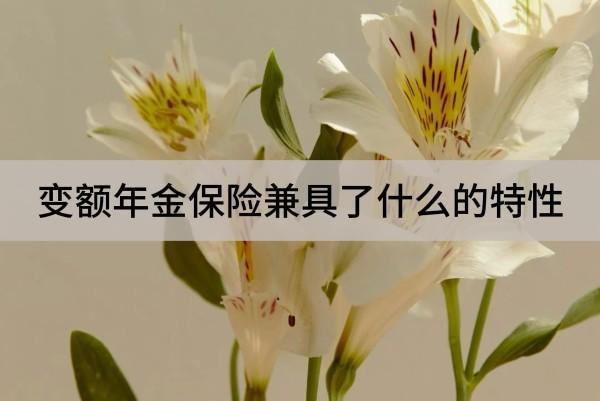 變額年金保險(xiǎn)兼具了什么的特性？區(qū)別是什么？